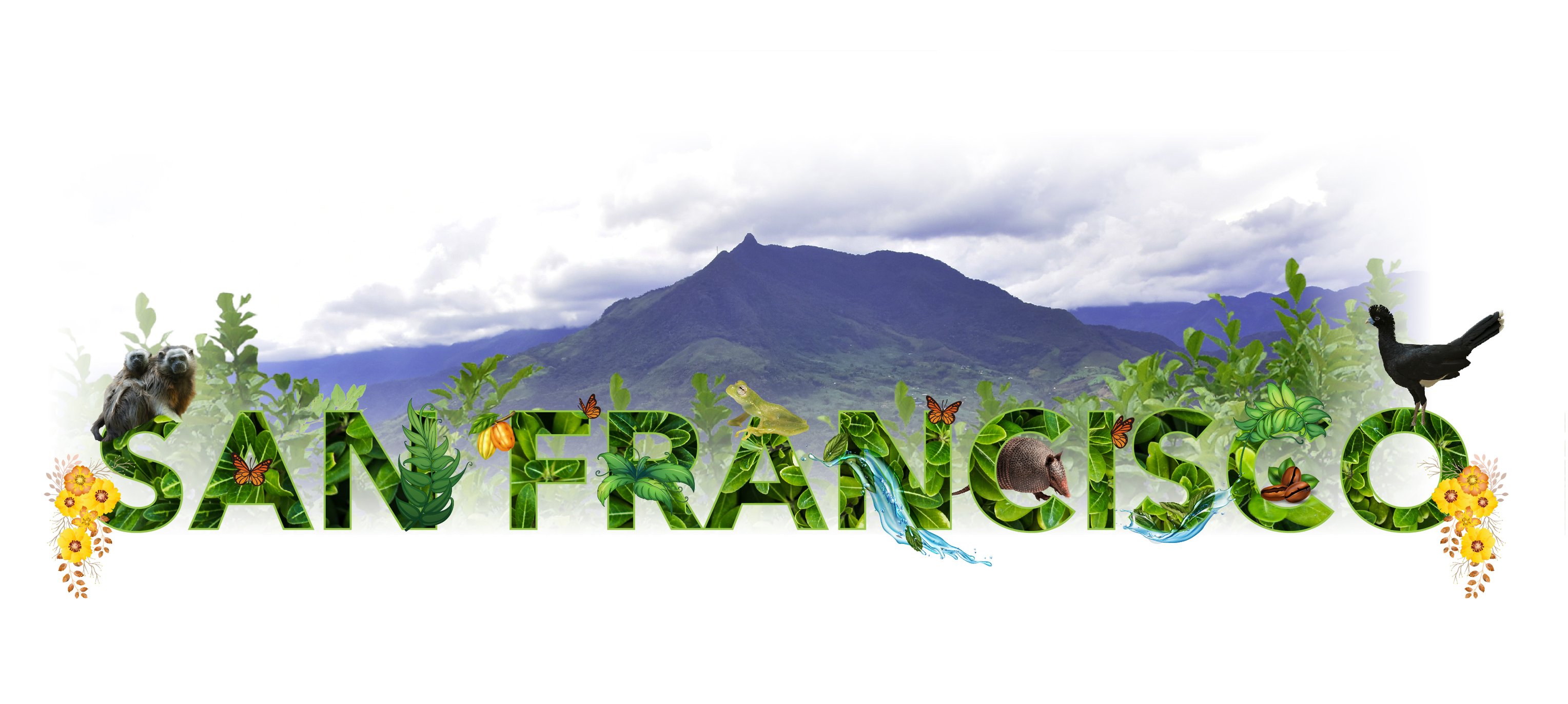 San Francisco, ventana ecológica del Oriente Antioqueño